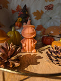 Monsieur Citrouille – Collection Halloween 🎃